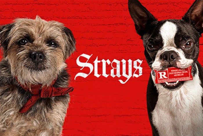 STRAYS