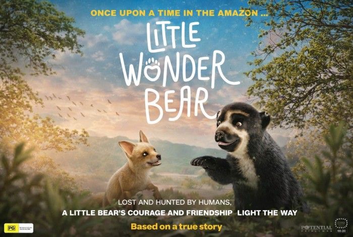 LITTLE WONDER BEAR