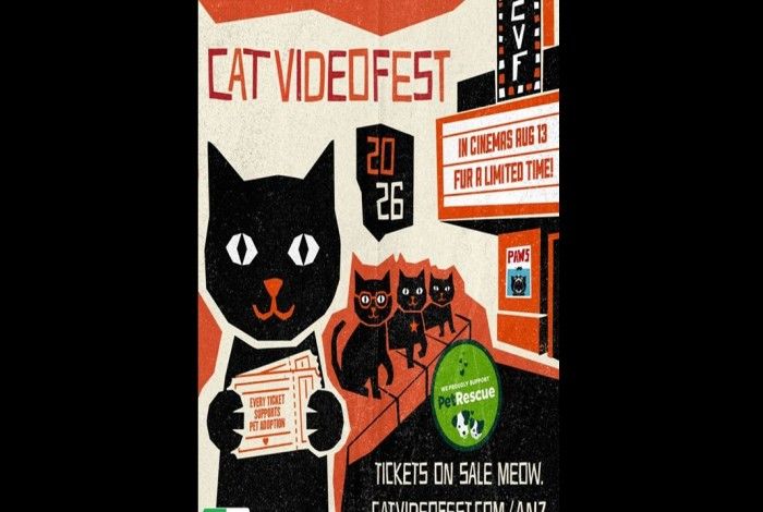CatVideoFeast 2026